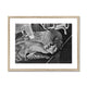 Carving of an Angel in Westminster Hall, c.1905 Framed &amp; Mounted Print image 3