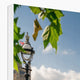 The Palace of Westminster from South Bank Canvas image 3