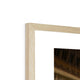 The Commons Chamber Framed Print image 9