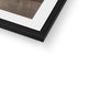 Big Ben and the statue of Boudicca Framed &amp; Mounted Print image 4