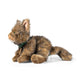 Attlee the Cat Plush Toy image 2