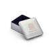 House of Commons Silver-Plated Trinket Box image 1