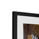 The Royal Gallery Framed &amp; Mounted Print image 7
