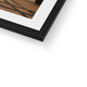 Peers' Lobby Framed &amp; Mounted Print image 4