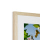 The Palace of Westminster from South Bank Framed &amp; Mounted Print image 9