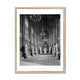 St Stephen's Hall, c.1905 Framed Print image 3