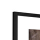 William Wilberforce Framed Print image 7
