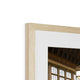 The Commons Chamber Framed &amp; Mounted Print image 9