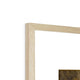 The House of Lords Framed Print image 9