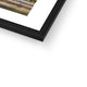 The Ayrton Light, Elizabeth Tower Framed Print image 4